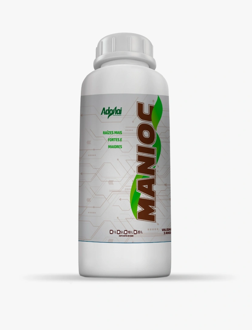 Manioc