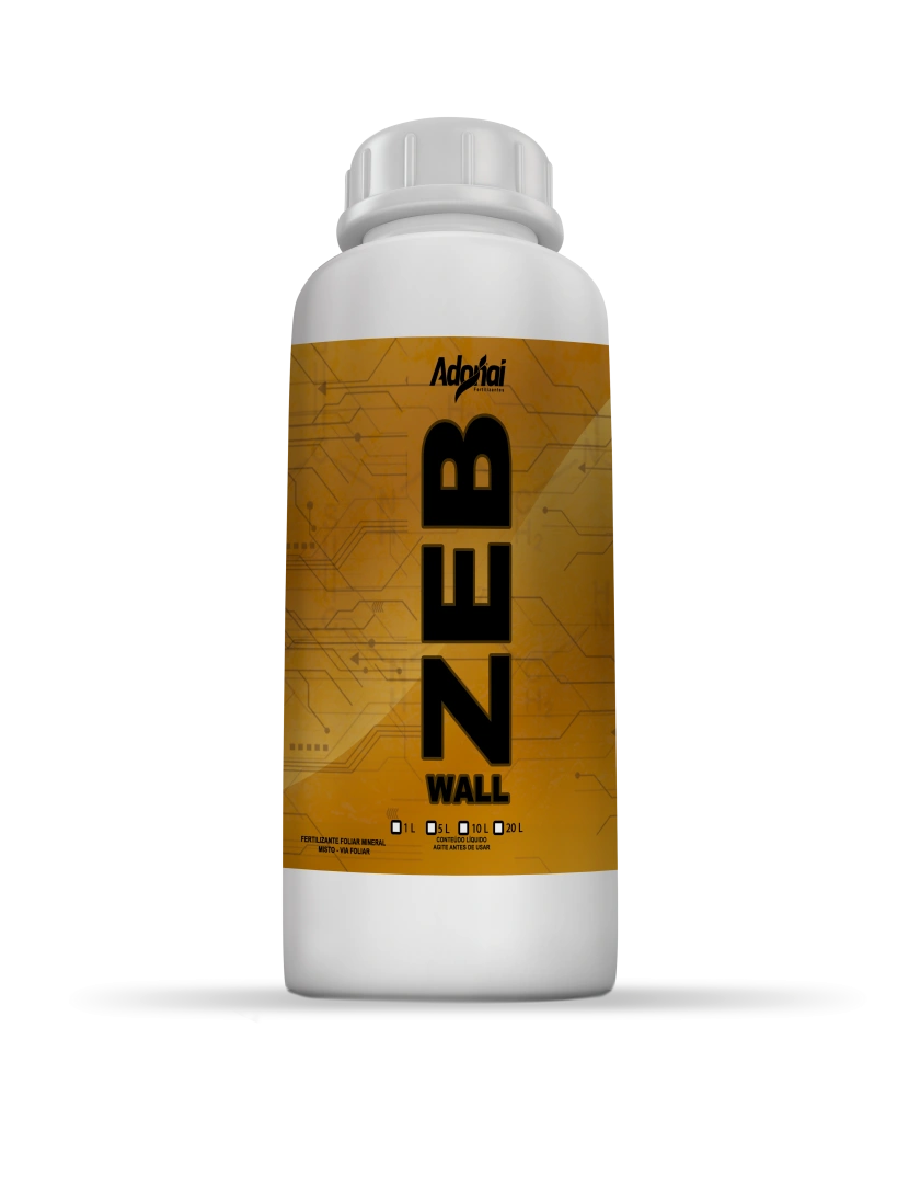 Wall Zeb